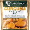 Mi opinión sobre la Cúrcuma en polvo Bio: ¿realmente es efectiva?