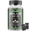 Mi experiencia con las Shilajit Gummies: ¿realmente funcionan?