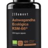 Mi experiencia con Zenement Ashwagandha 600mg: ¿Realmente funciona?
